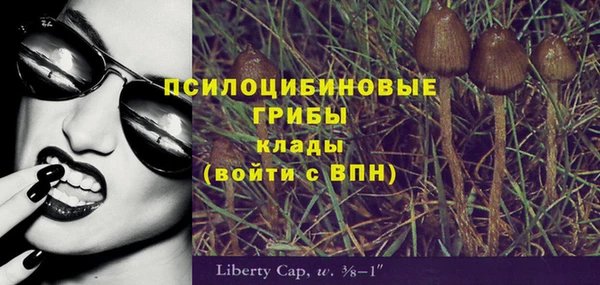 прущая мука Вяземский