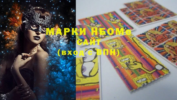 ПСИЛОЦИБИНОВЫЕ ГРИБЫ Вязники