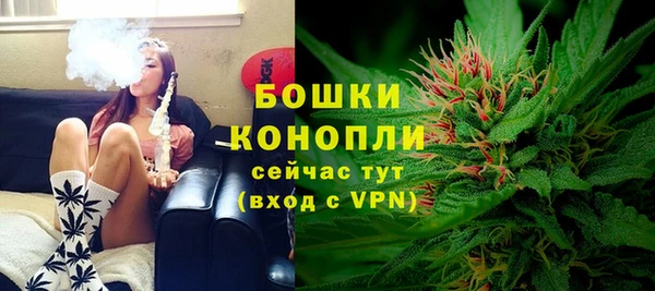 прущая мука Вяземский
