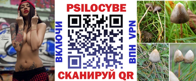 Купить закладки  Железноводск  Псилоцибиновые грибы Cubensis 