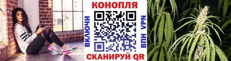 Конопля Amnesia  Купить закладки  Железноводск 